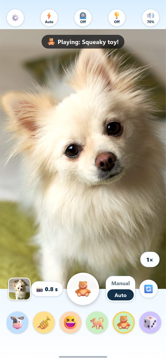 Smile Snapper camera screen: a fluffy dog looks at the camera while the Squeaky toy sound plays.